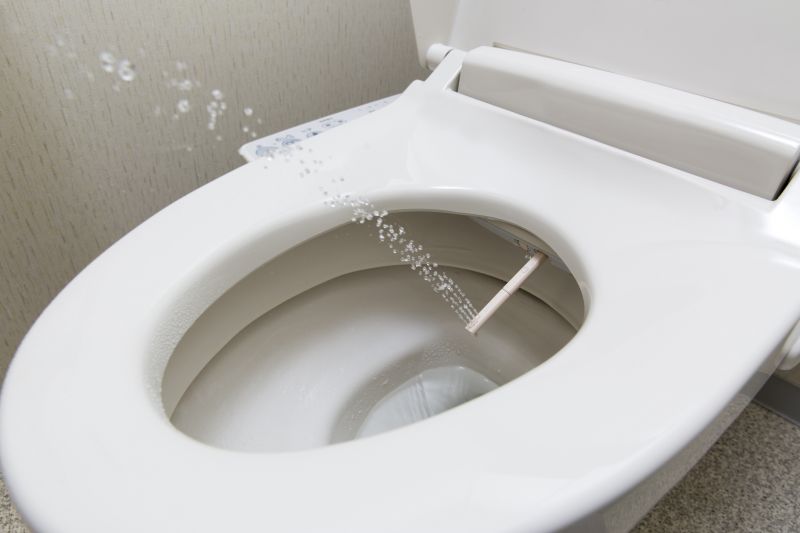 Bidet Repair