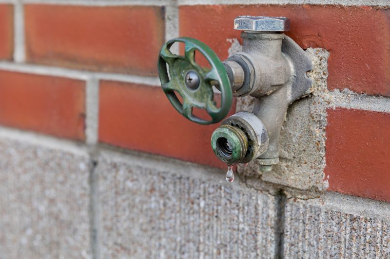 Bidet Repair Service in Denver, CO