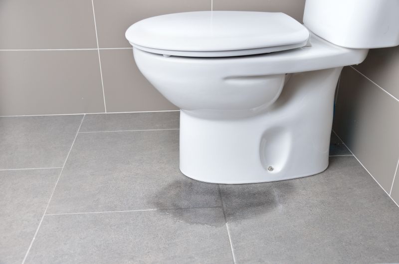 Repairing a Leaking Bidet